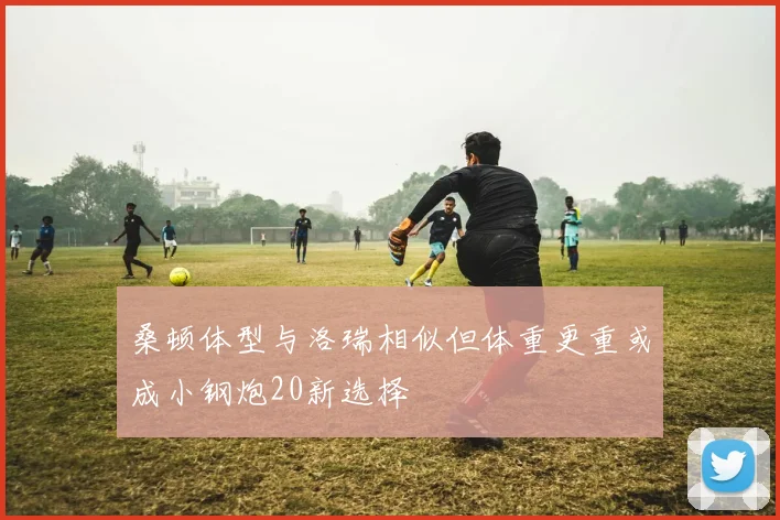 桑顿体型与洛瑞相似但体重更重或成小钢炮20新选择
